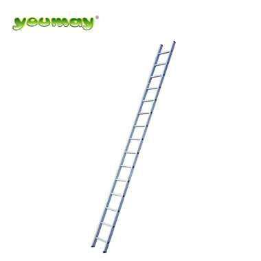 واحد سیکشن قطب سیڑھی